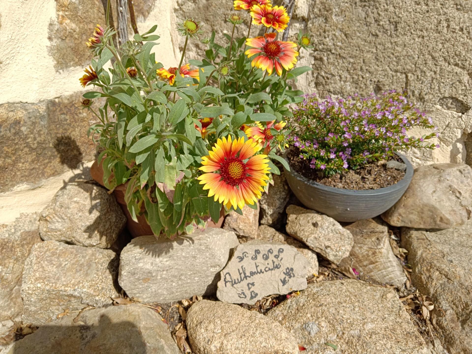 Exterieur de l association longessaigne 1