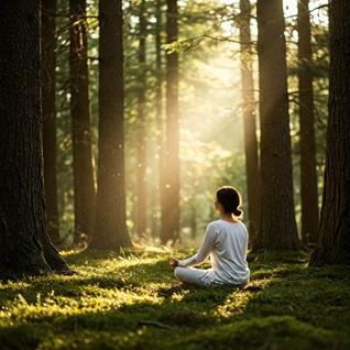 Méditation et Nature : Apprivoiser le Tumulte Intérieur